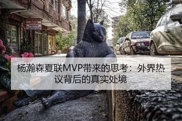 杨瀚森夏联MVP带来的思考：外界热议背后的真实处境